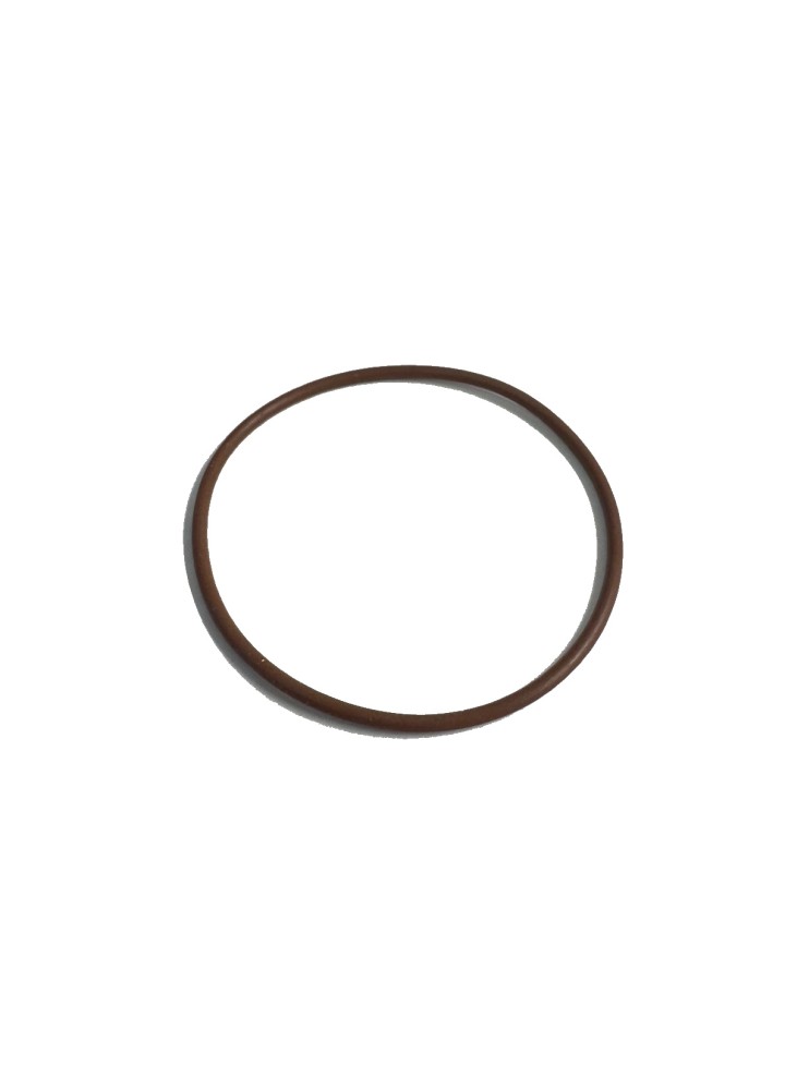 Replacement Diablo Pump Head O-Ring-Angel Homebrew- Diablo Pumps (240V)
